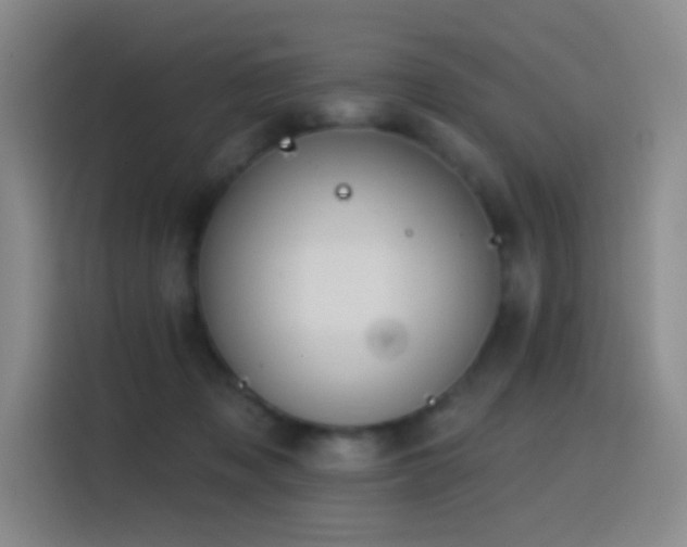 X0000116110317200911231151