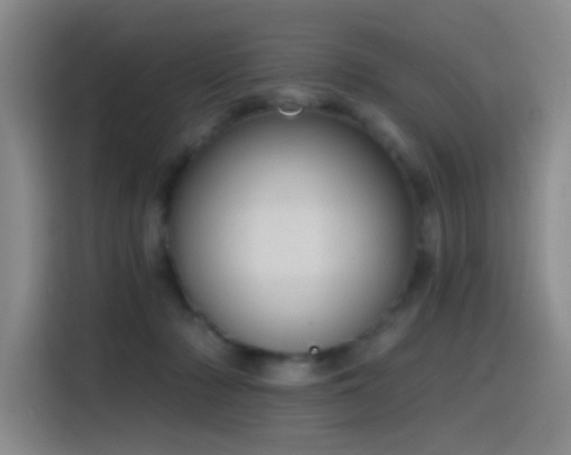 X0000116110318200911231151