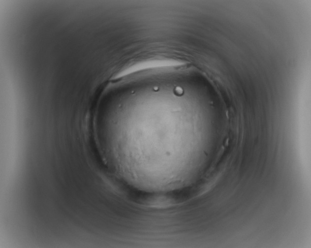 X0000116110319200911231151