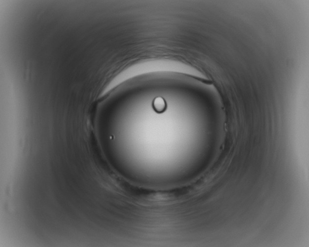 X0000116110320200911231151