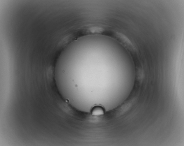 X0000116110321200911231150