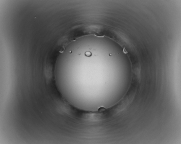 X0000116110323200911231150