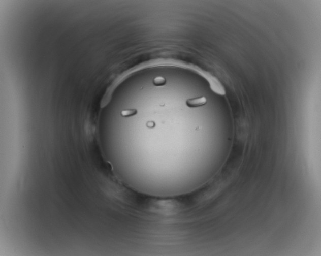 X0000116110324200911231150