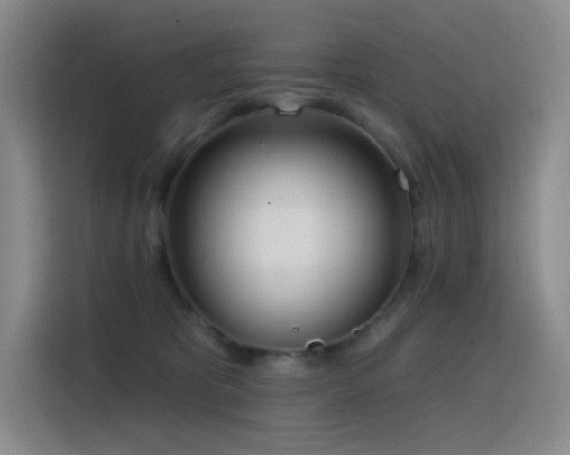 X0000116110325200911231150