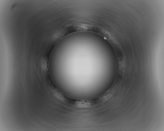 X0000116110331200911231150