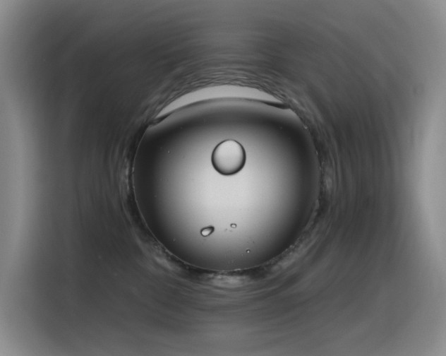 X0000116110332200911231150