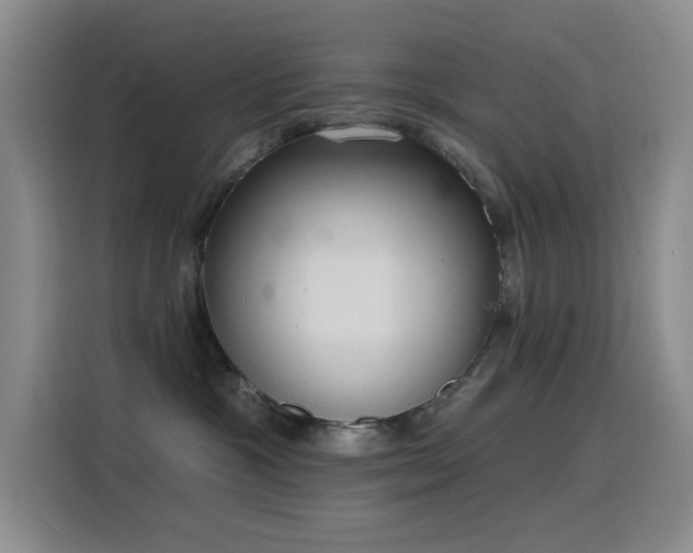 X0000116110333200911231150