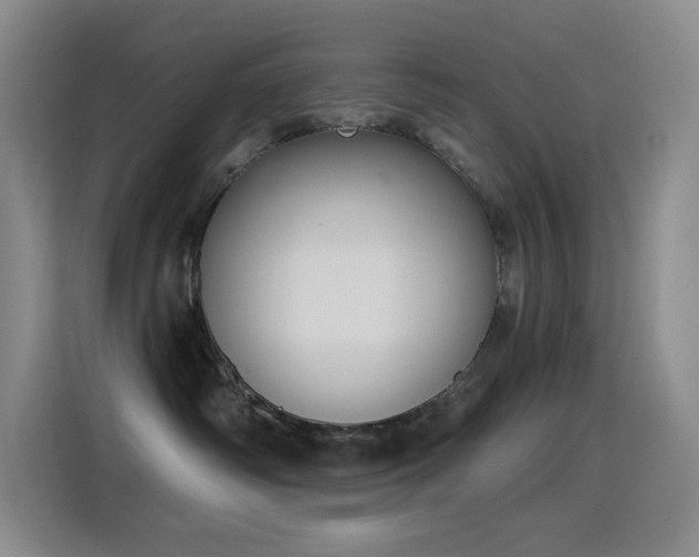 X0000116110334200911231150