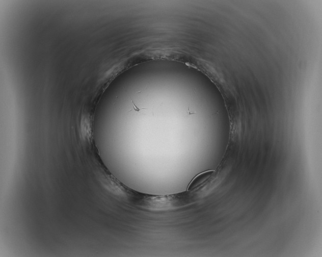 X0000116110335200911231150