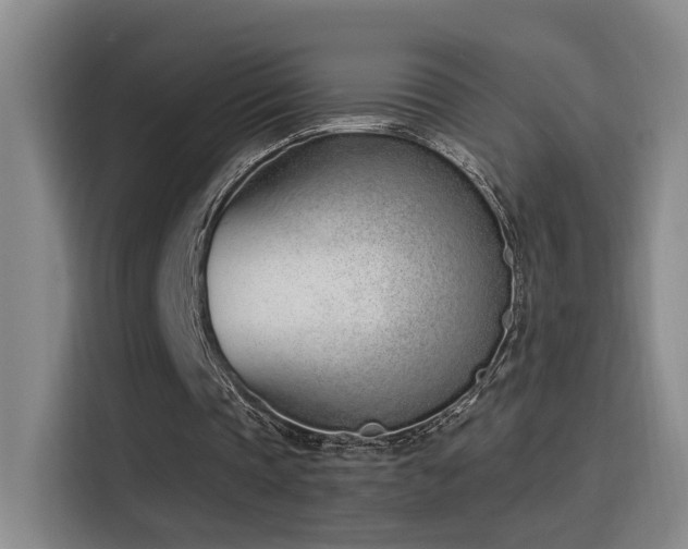 X0000116110337200911231150