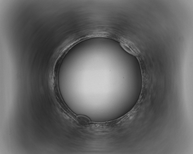 X0000116110338200911231150