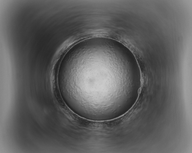 X0000116110339200911231150