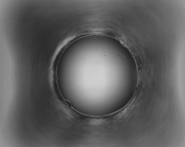 X0000116110342200911231150