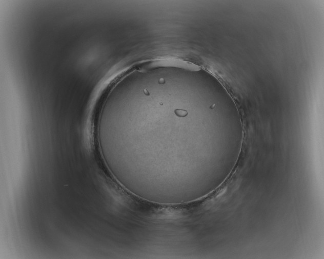 X0000116110343200911231150