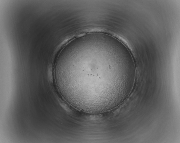 X0000116110345200911231150