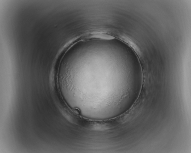 X0000116110346200911231150