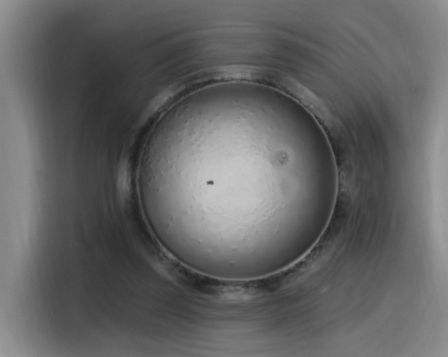 X0000116110347200911231150