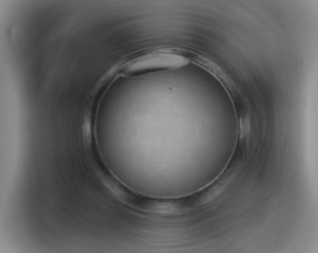 X0000116110349200911231150