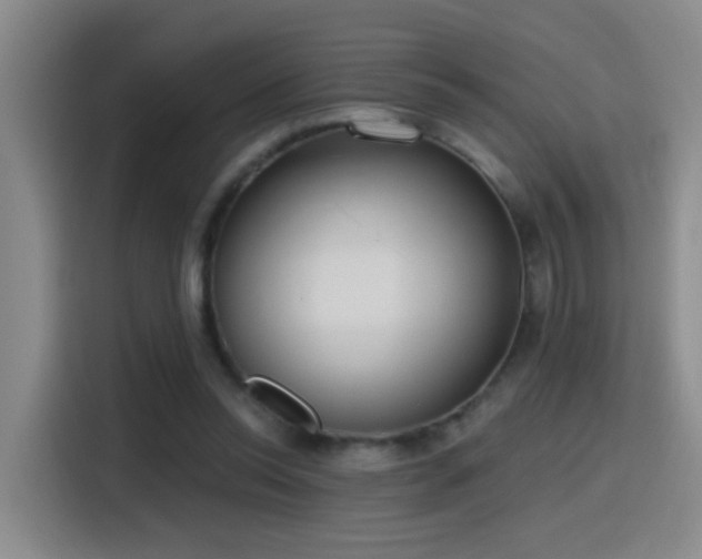 X0000116110350200911231150