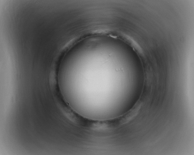 X0000116110354200911231150