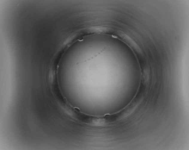 X0000116110355200911231150