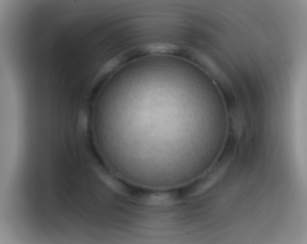 X0000116110357200911231150