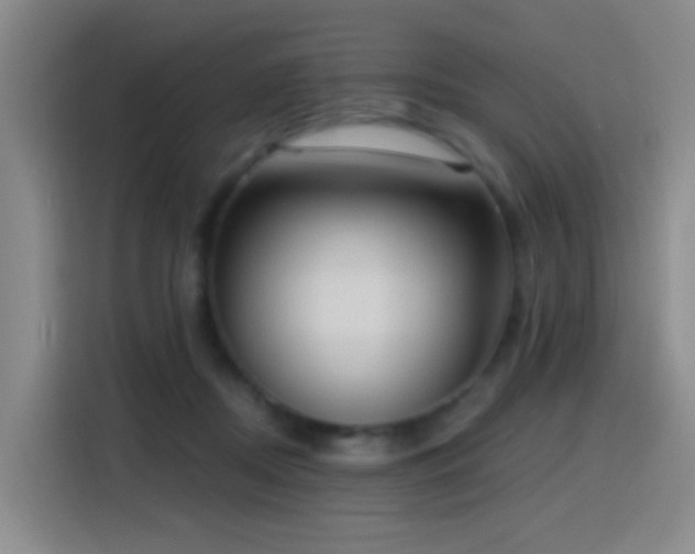 X0000116110362200911231150