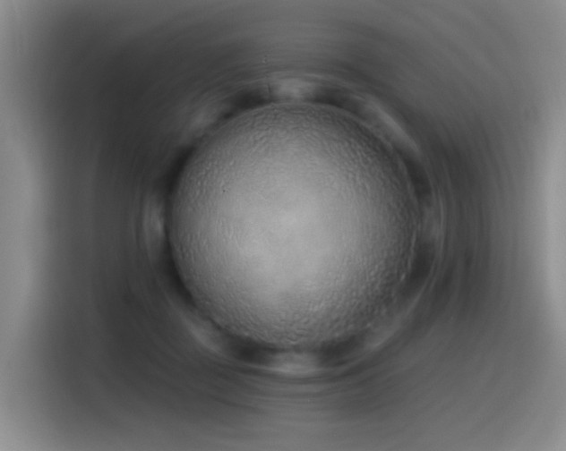 X0000116110363200911231150