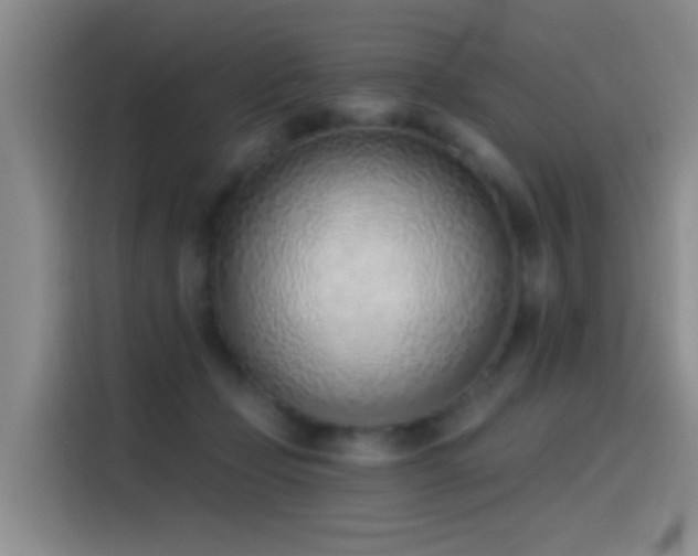 X0000116110365200911231150