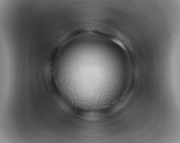 X0000116110366200911231150