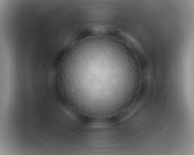 X0000116110369200911231150