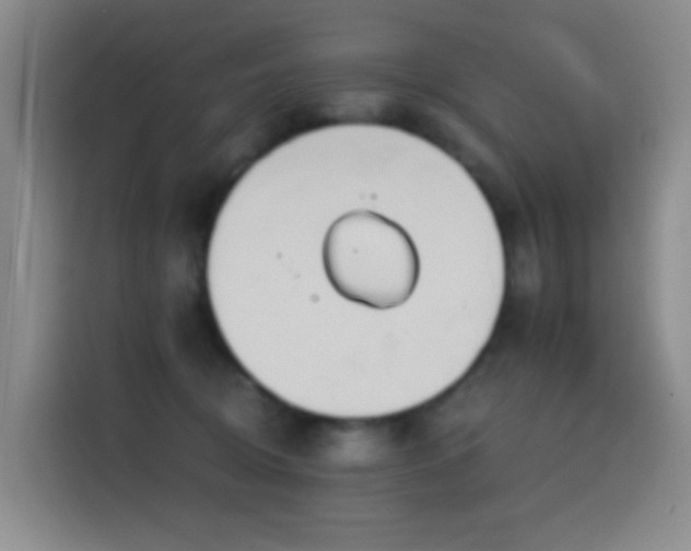 X0000116110370200911231150