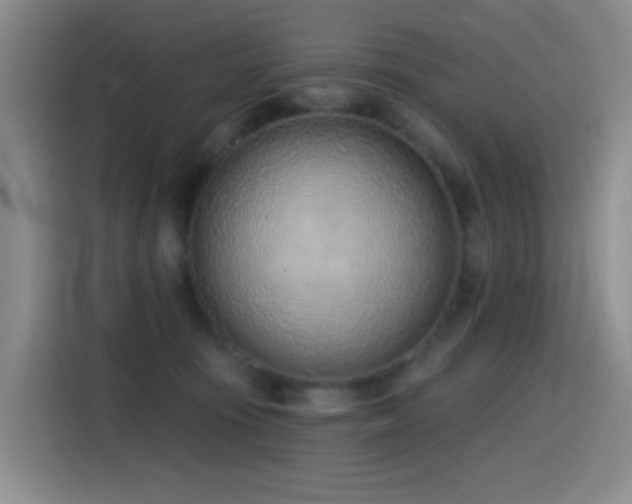 X0000116110371200911231150