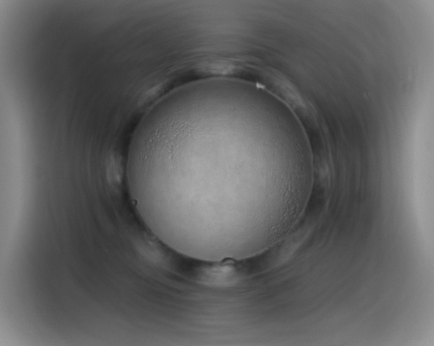 X0000116110374200911231150