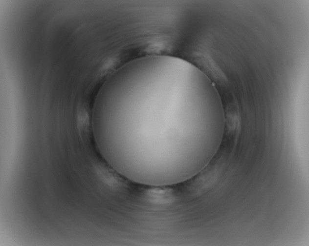 X0000116110375200911231150