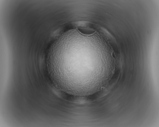 X0000116110377200911231150