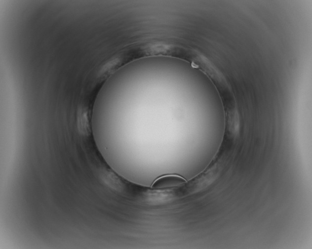 X0000116110378200911231150