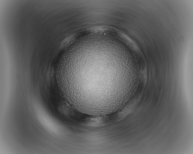 X0000116110381200911231150