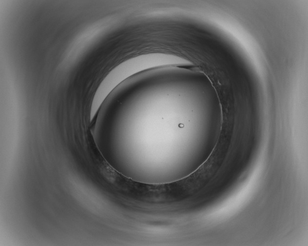 X0000116110382200911231150