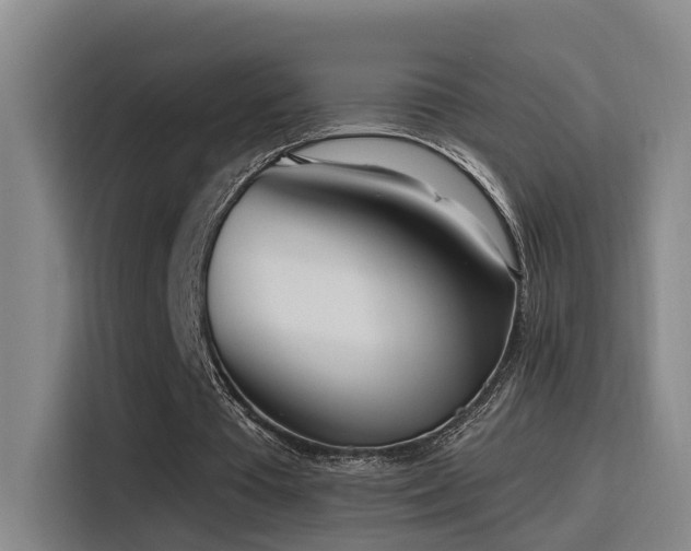 X0000116110385200911231150