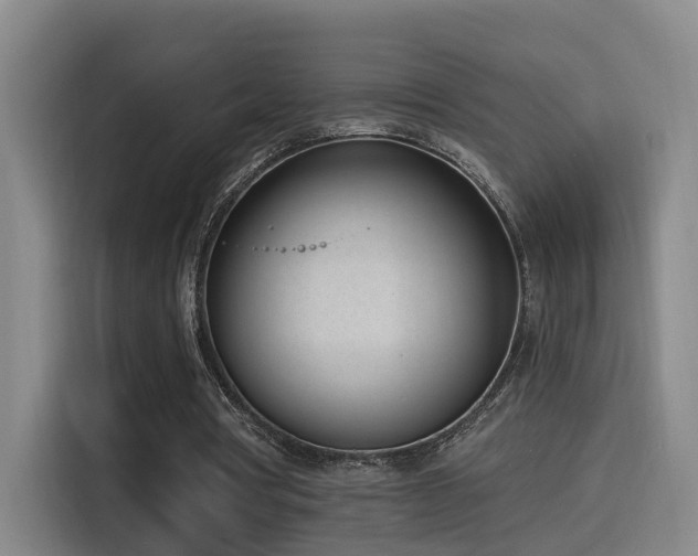 X0000116110386200911231150