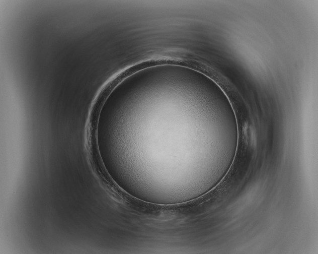 X0000116110388200911231150