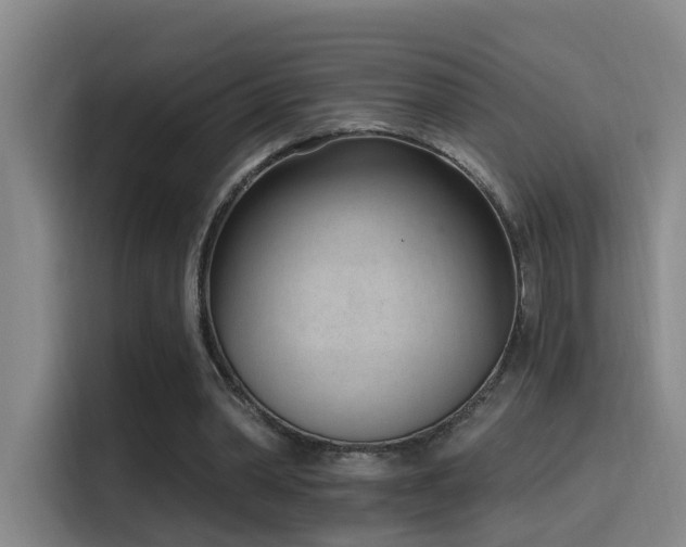 X0000116110390200911231150