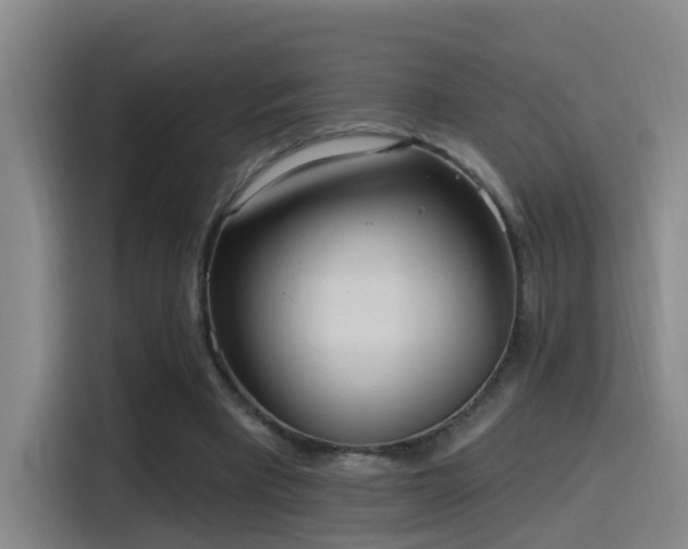 X0000116110393200911231150