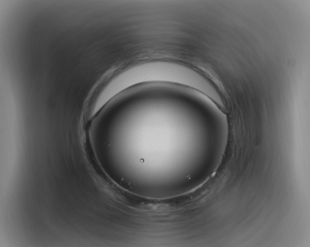 X0000116110395200911231150