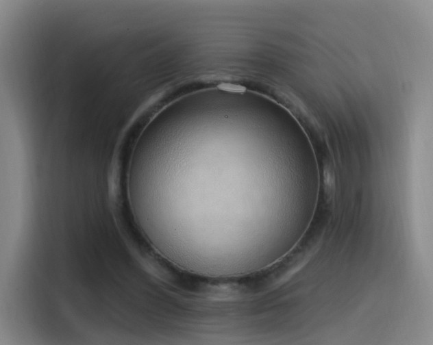 X0000116110396200911231150