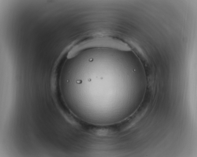 X0000116110400200911231149