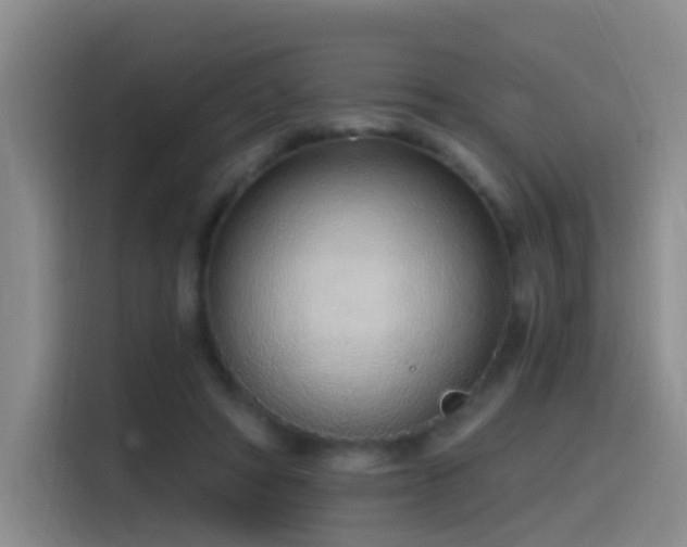 X0000116110402200911231149