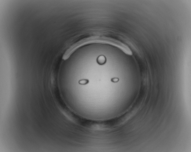 X0000116110408200911231149