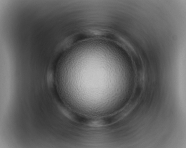 X0000116110410200911231149